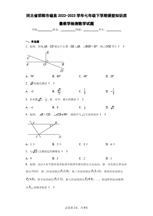 河北省邯郸市磁县2022-2023学年七年级下学期课堂知识质量教学检测数学试题(含答案解析)
