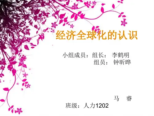 经济全球化的认识PPT课件