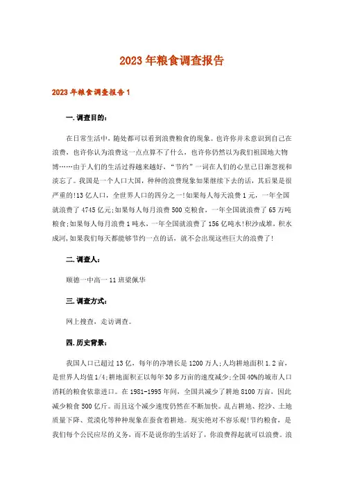 2023年粮食调查报告_2