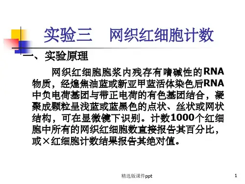 (三)网织红细胞计数
