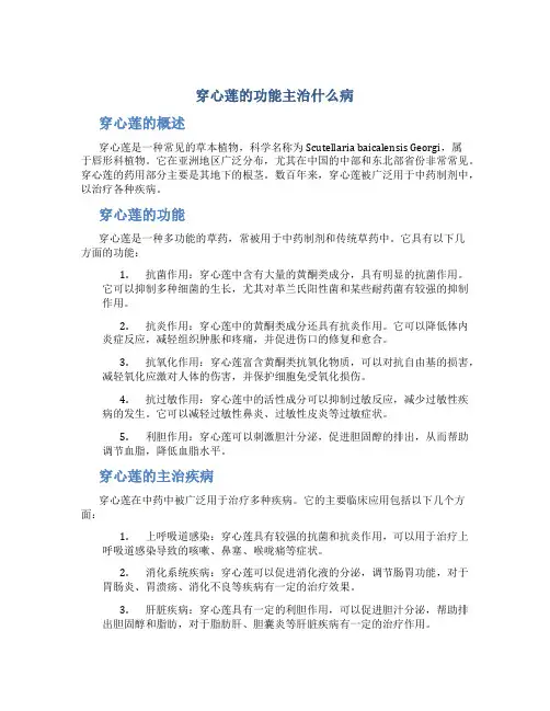 穿心莲的功能主治什么病