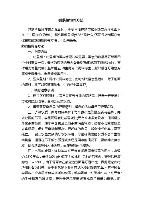 鹦鹉鱼饲养方法