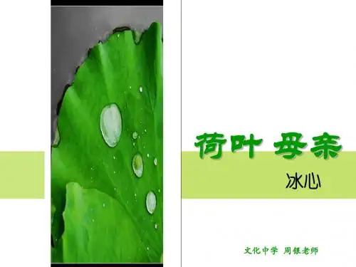 荷叶·母亲PPT课件26 人教版 (共16张PPT)
