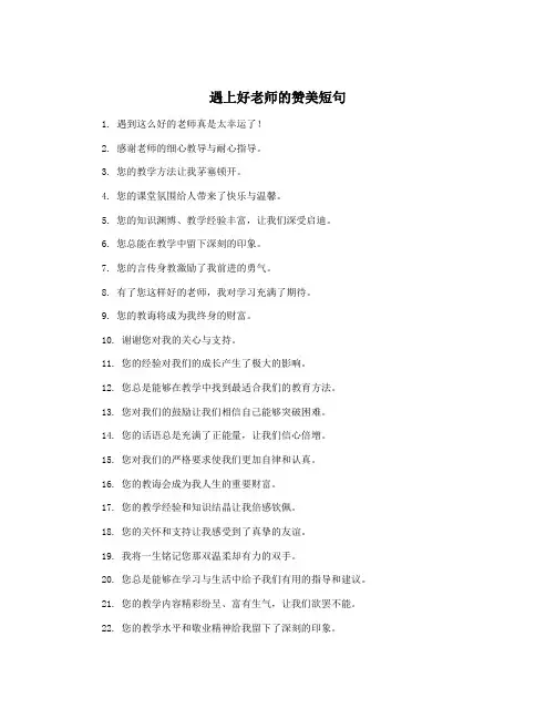 遇上好老师的赞美短句