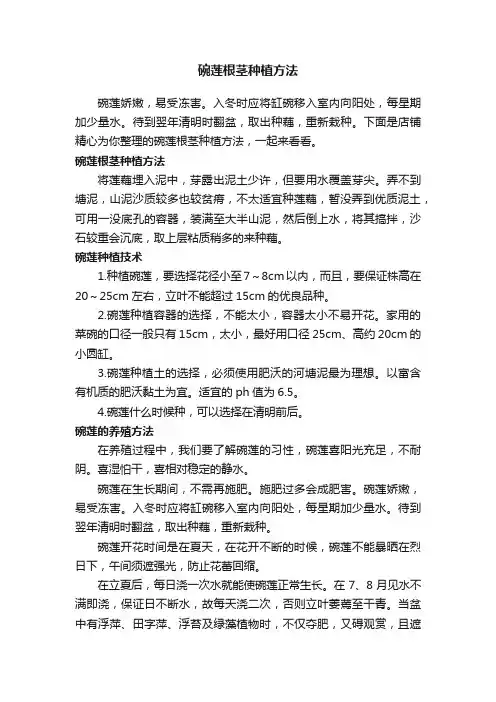 碗莲根茎种植方法