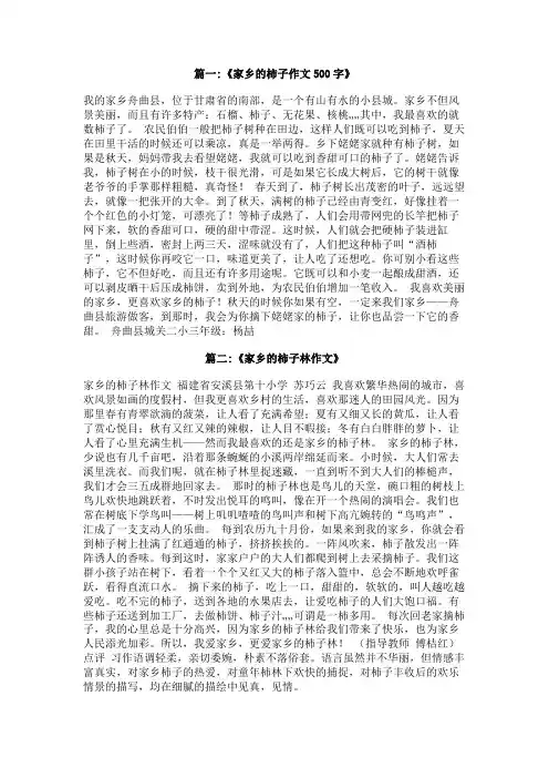 我家乡的柿子作文300字