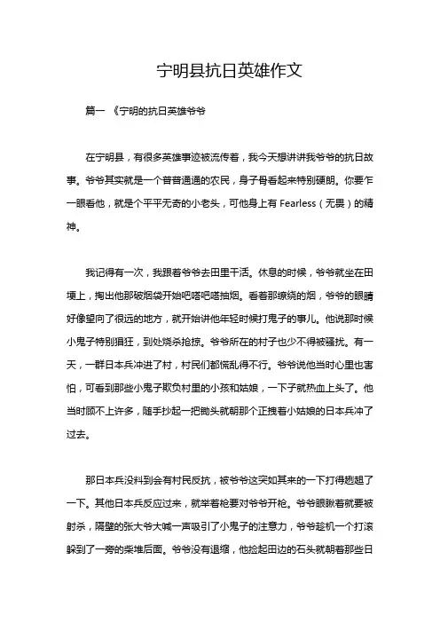 宁明县抗日英雄作文