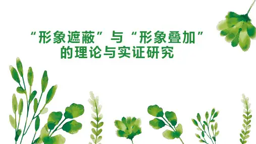 “形象遮蔽”与“形象叠加”的理论与实证研究