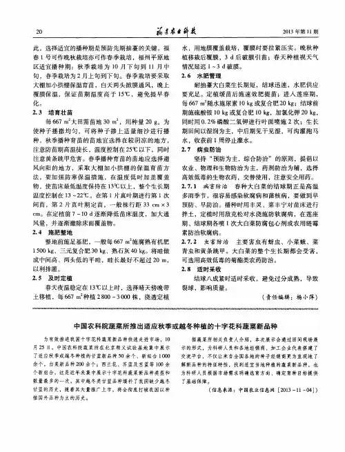 中国农科院蔬菜所推出适应秋季或越冬种植的十字花科蔬菜新品种