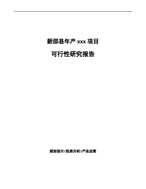 新邵县可行性研究报告(立项备案模板)