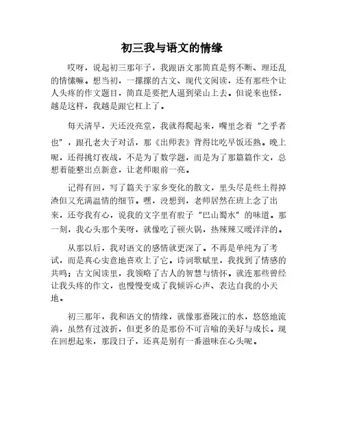 我与语文的初三作文