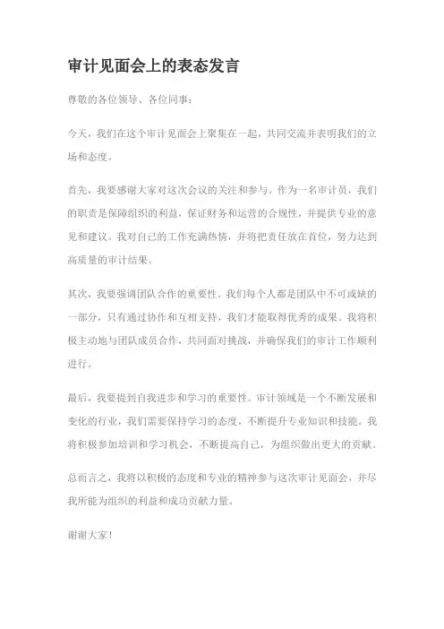 审计见面会上的表态发言