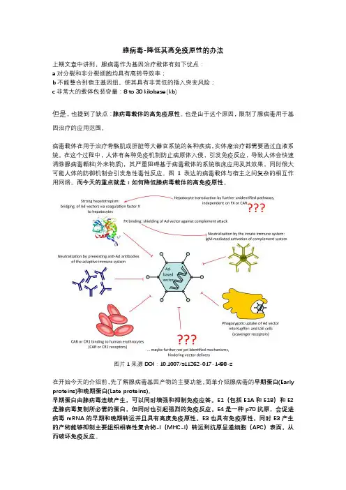 腺病毒-降低其高免疫原性的办法