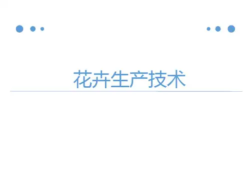 《花卉生产技术》 教学课件 项目三