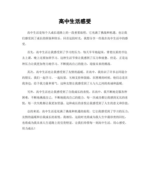 高中生活感受