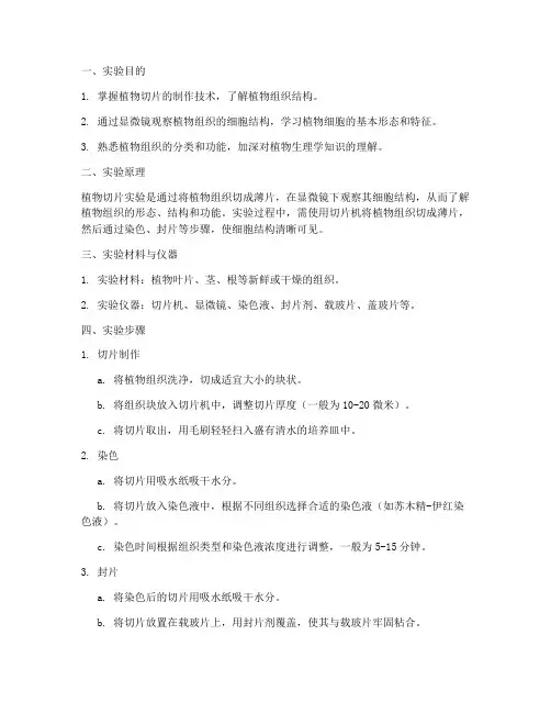 植物切片实验报告