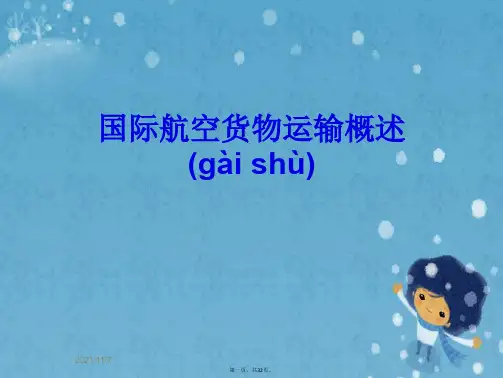 国际航空货物运输概述