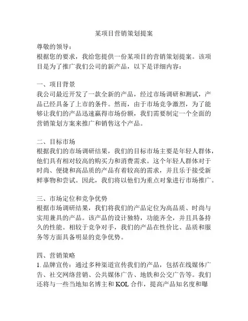 某项目营销策划提案
