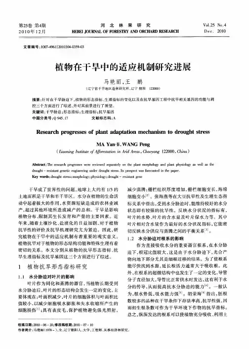 植物在干旱中的适应机制研究进展