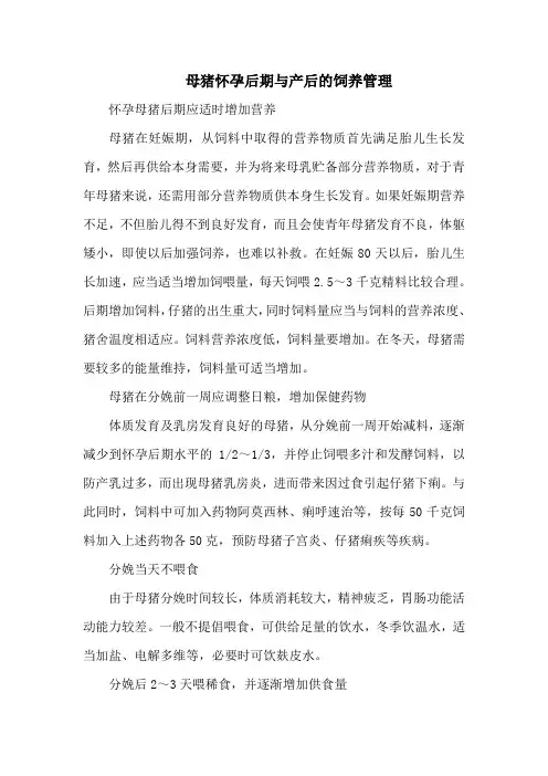 母猪怀孕后期与产后的饲养管理