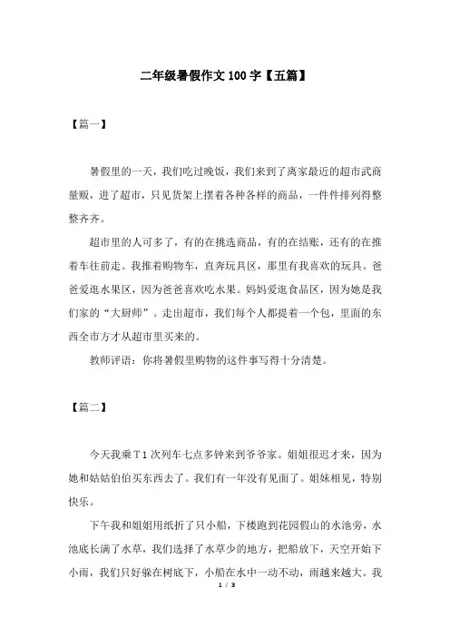二年级暑假作文100字【五篇】