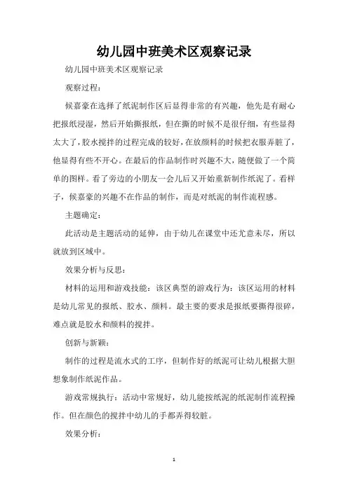 幼儿园中班美术区观察记录（精编版）