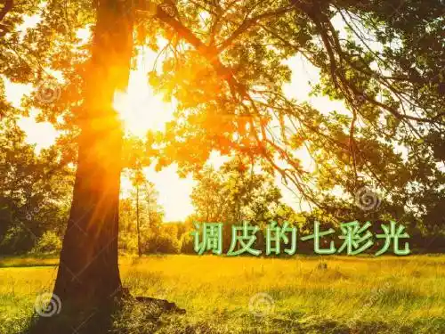 大班语言《调皮的光宝宝》ppt动画