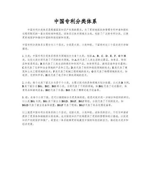 中国专利分类体系