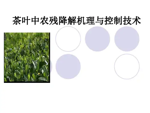 茶叶中农残降解机理与控制技术