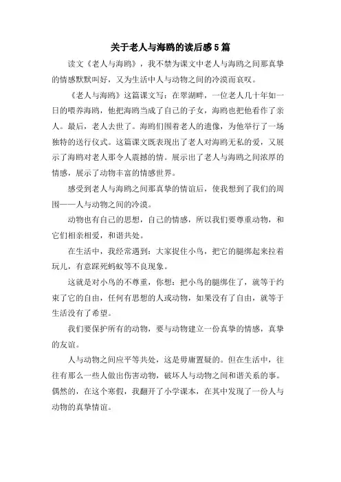 关于老人与海鸥的读后感5篇