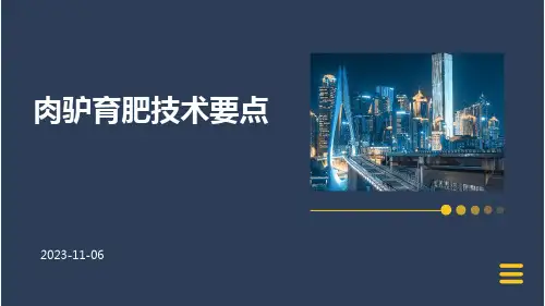 肉驴育肥技术要点
