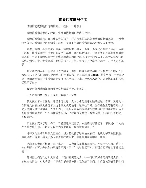 奇妙的夜晚写作文