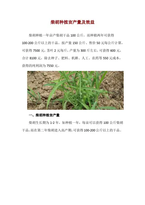 柴胡种植亩产量及效益