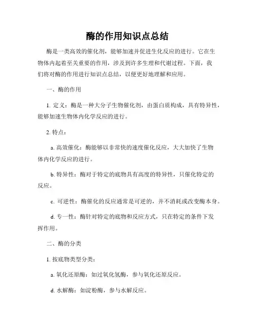 酶的作用知识点总结