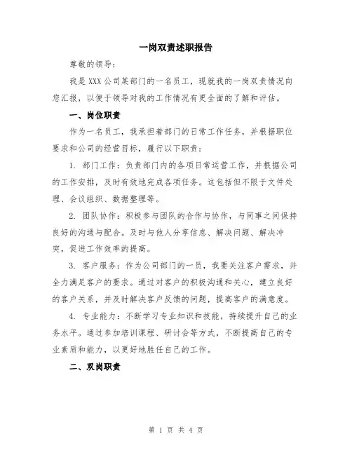 一岗双责述职报告
