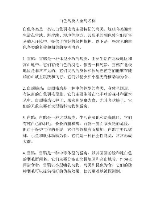 白色鸟类大全鸟名称
