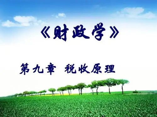 第九章税收原理 25页