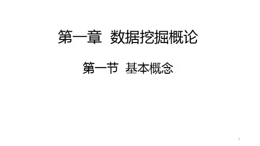 数据挖掘概论