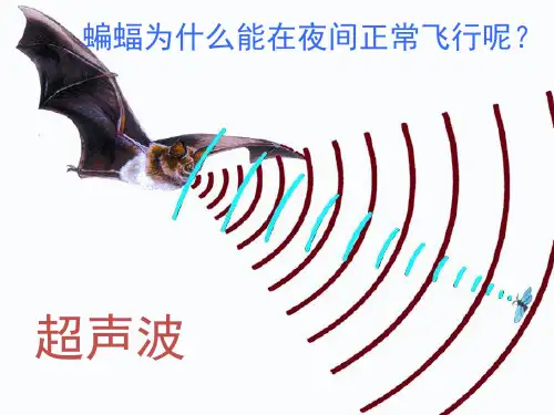 4-4_声现象在科技中的应用