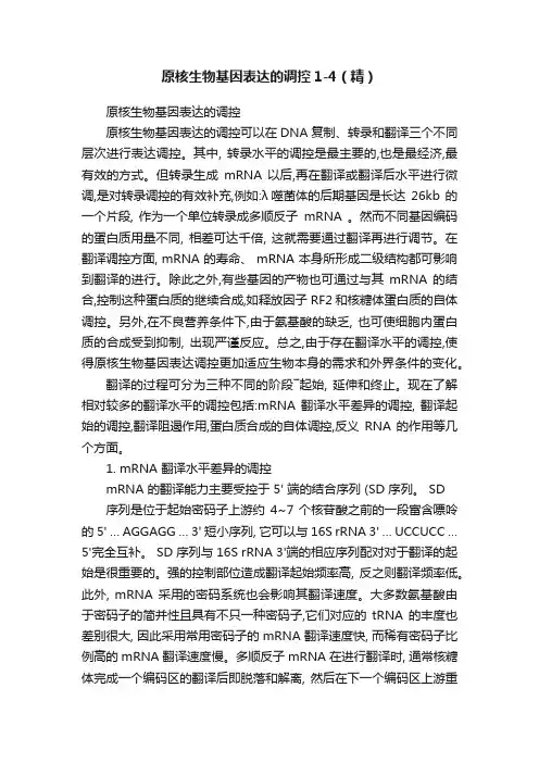 原核生物基因表达的调控1-4（精）