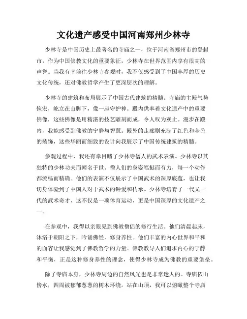 文化遗产感受中国河南郑州少林寺