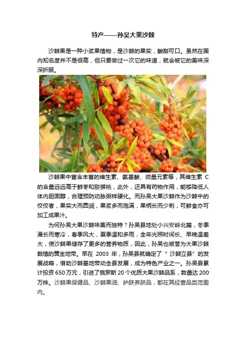 特产——孙吴大果沙棘