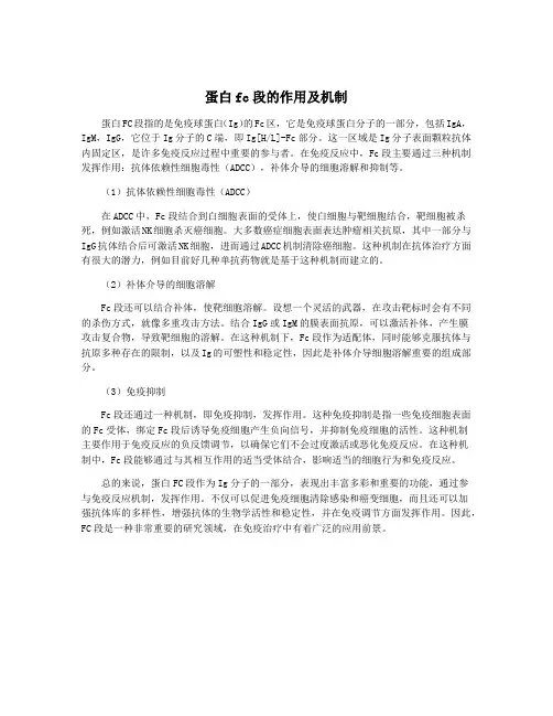 蛋白fc段的作用及机制