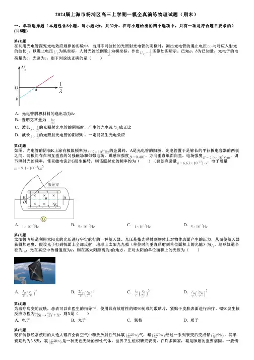 2024届上海市杨浦区高三上学期一模全真演练物理试题(期末)