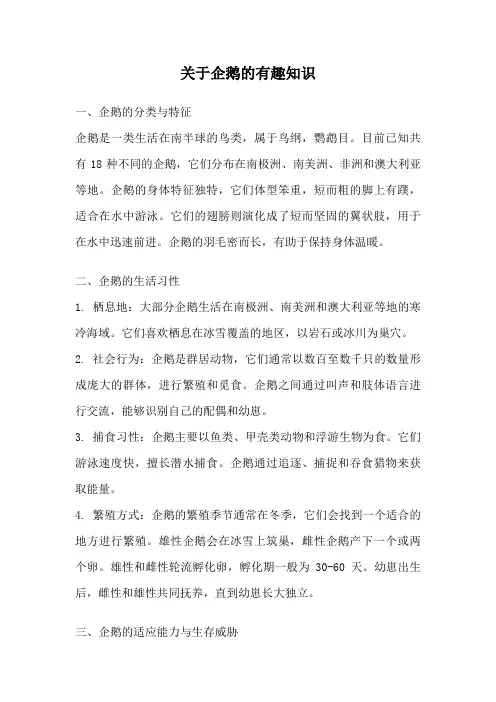 关于企鹅的有趣知识