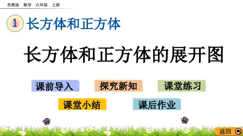 苏教版数学六年级上册1.2 长方体和正方体的展开图
