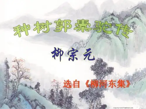 语文版语文选修第4课《种树郭橐驼传》ppt课件2