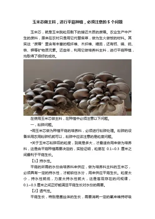 玉米芯做主料，进行平菇种植，必须注意的5个问题