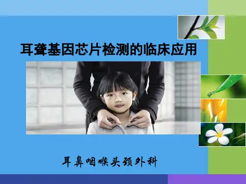 遗传性非综合征性耳聋基因检测精品PPT课件