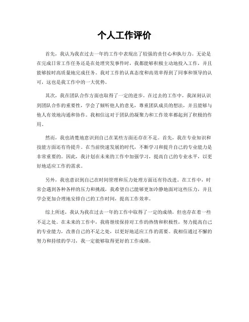 个人工作评价